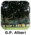 GP Alberi